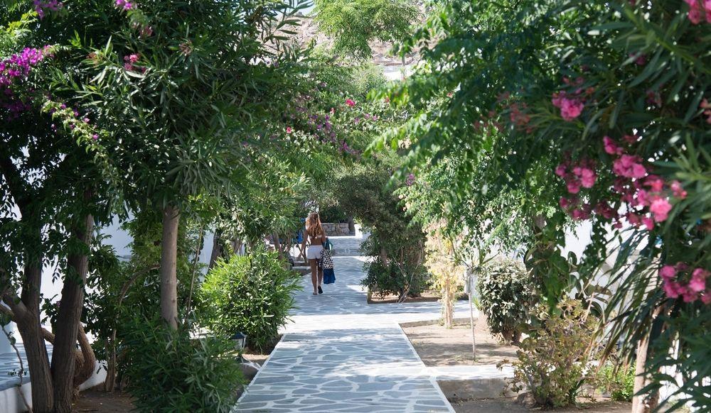 Akrogiali Pension Platis Gialos (Sifnos) Exterior foto
